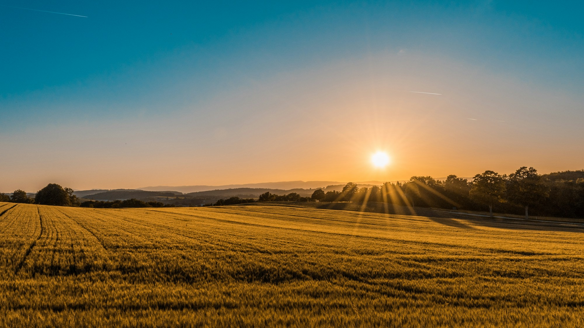 Open green fields and wooded land